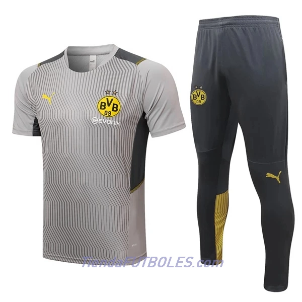 BVB Borussia Dortmund Camiseta De Entrenamiento Hombre 2022/23 Gris Claro