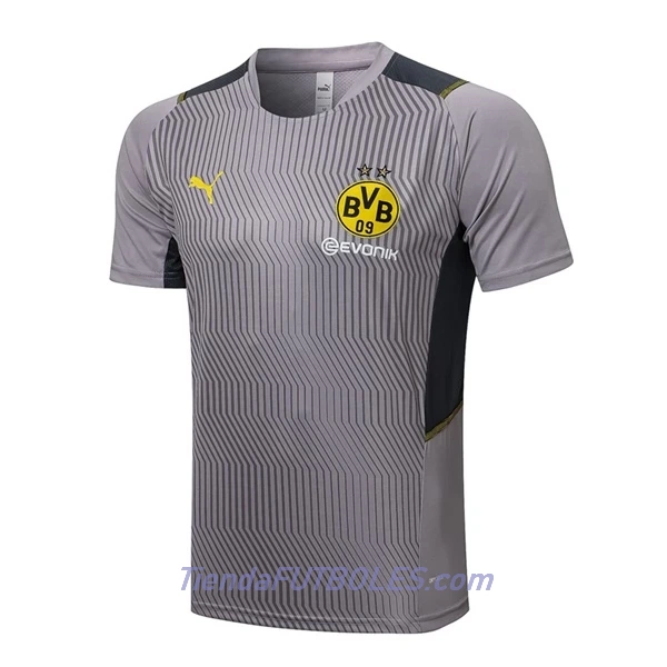 BVB Borussia Dortmund Camiseta De Entrenamiento Hombre 2022/23 Gris Claro