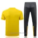 BVB Borussia Dortmund Polo De Entrenamiento Hombre 2022/23 Amarilla