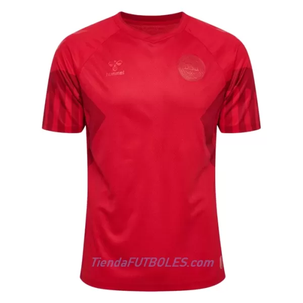 Camiseta Dinamarca Hombre Primera Mundial 2022