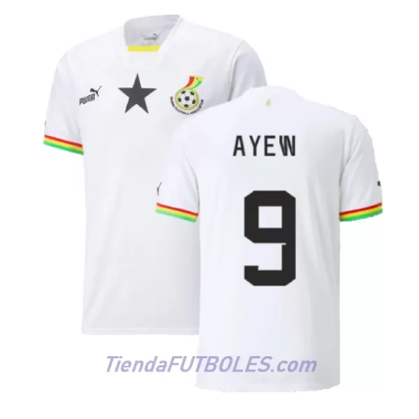 Camiseta Ghana Ayew 9 Hombre Primera Jordan Mundial 2022