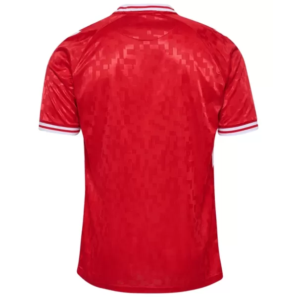 Camiseta Dinamarca Hombre Primera Euro 2024