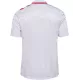 Camiseta Dinamarca Hombre Segunda Euro 2024