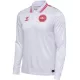 Camiseta Manga Larga Dinamarca Hombre Segunda Euro 2024
