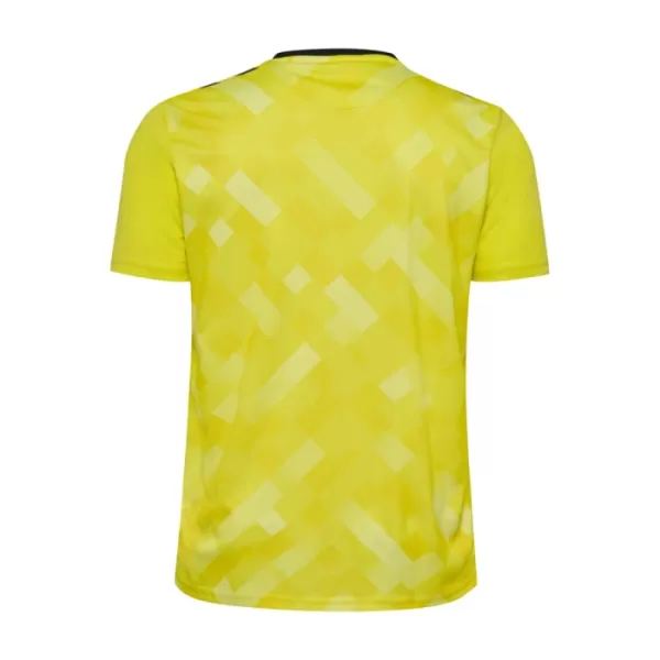 Camiseta Portero Dinamarca Hombre Euro 2024 Amarilla