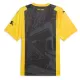 Camiseta Borussia Dortmund Aniversario Hombre 23/24