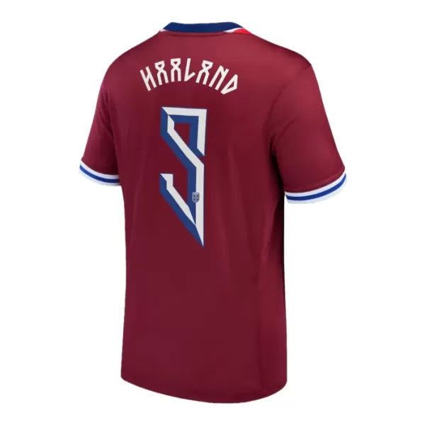 Camiseta Noruega Haaland 9 Hombre Primera 2024