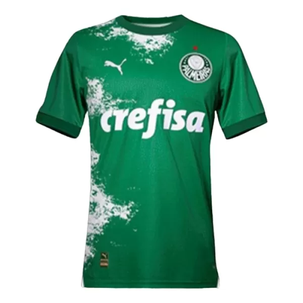 Camiseta Palmeiras Hombre 2024 Verde - Especial