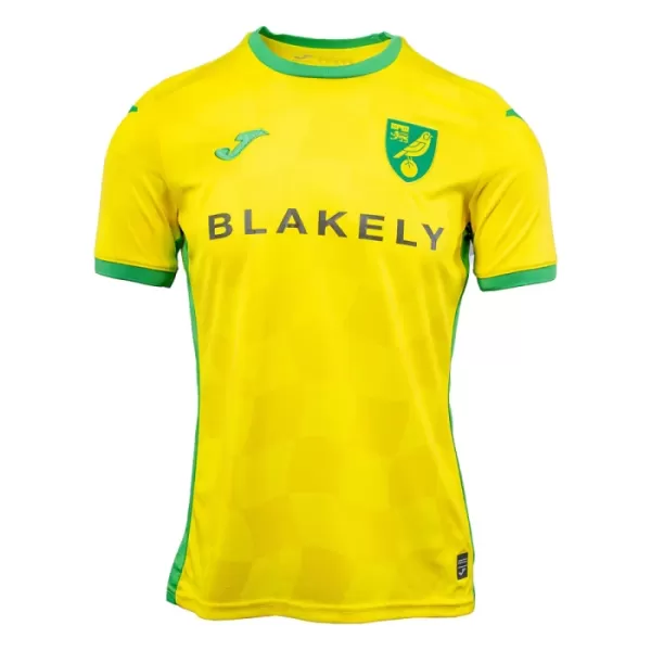 Camiseta Norwich City Hombre Primera 24/25