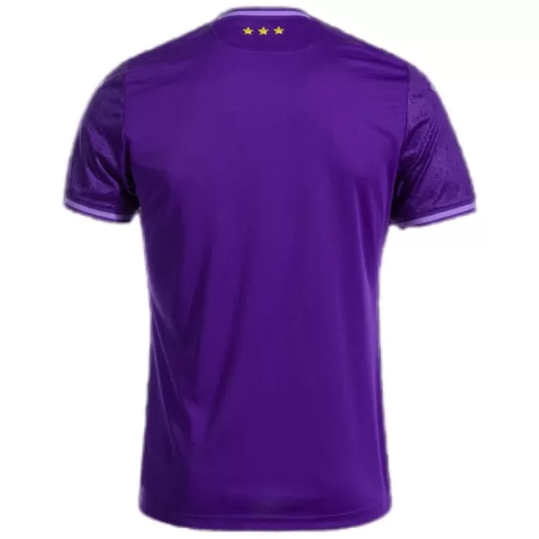 Camiseta RSC Anderlecht Hombre Primera 24/25