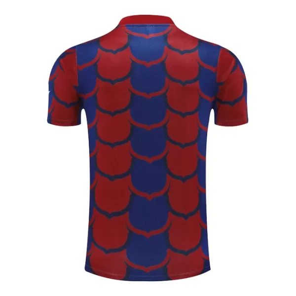 Camiseta Barcelona Pre-Match Hombre 24/25