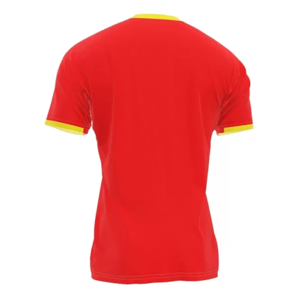 Camiseta Guinea Hombre Primera 2024